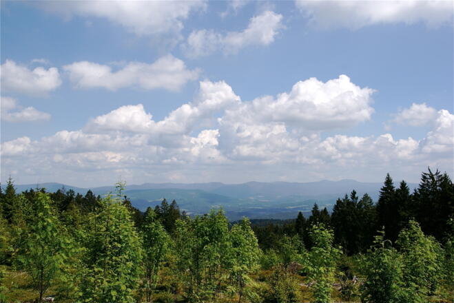 Blick zum Großen Arber kurz vor St. Englmar-Predigtstuhl