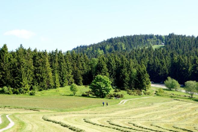 Rückblick über Ahornwies