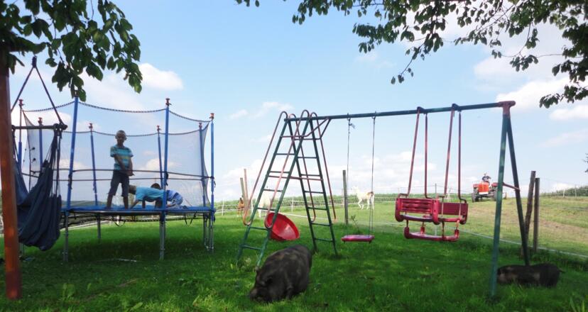 Ausfahrt mit Trettauto