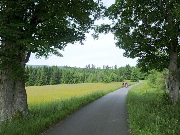 Radweg vor der Abzweigung zum Lackensee