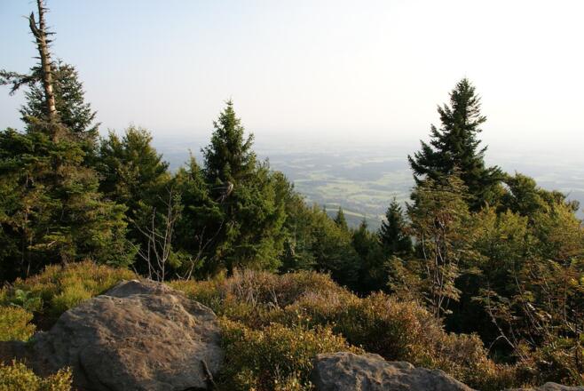 Aussicht vom Rauhen Kulm