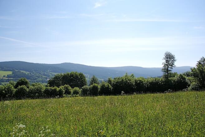 Aussicht vom Wanderweg Nr. 2 vom Knogl bis Hirschenstein