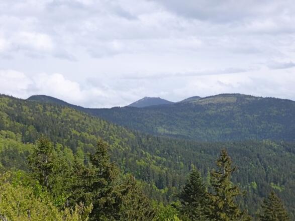 Blick vom Mühlriegel - ganz links Schwarzeck, Großer, Kleiner Arber und Heugstatt