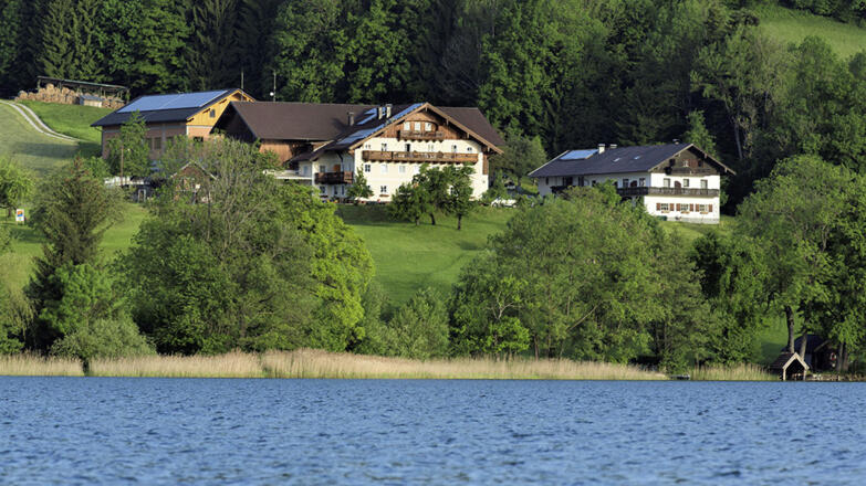 Hofbild