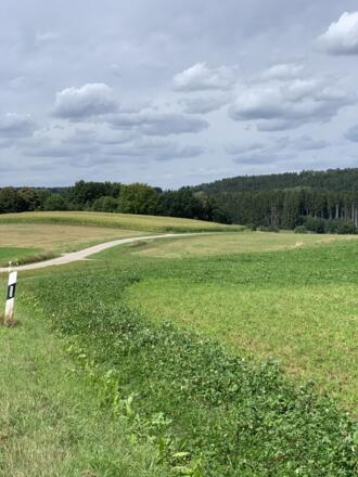 Landschaft bei Gurnöbach