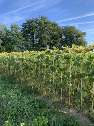 Landschaft zwischen Gerolsbach und Strobenried
