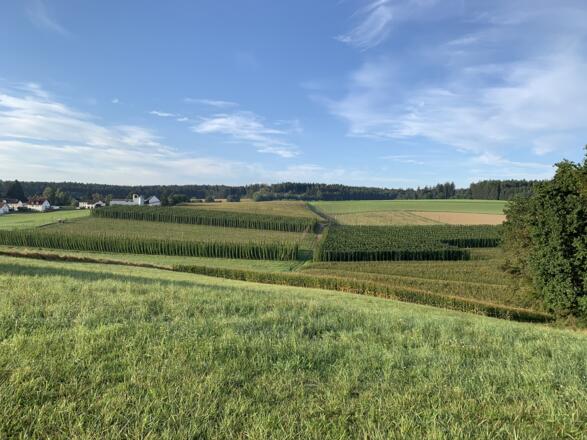 Rückenwind Panoramatour - Landschaft zwischen Dodenhof und Ebenhof