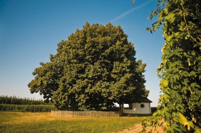 Schweitenkirchen Dörferblick