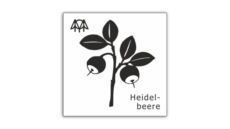 Heidelbeere