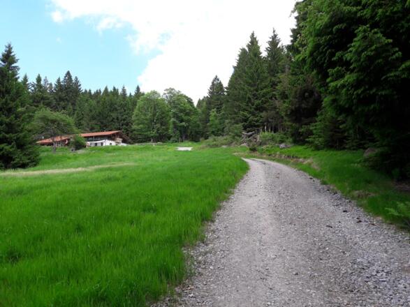 Schotterweg vom Prellerhaus nach Klinglbach