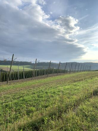 Rückenwind Panoramatour - Landschaft bei Buchhof (2).JPEG