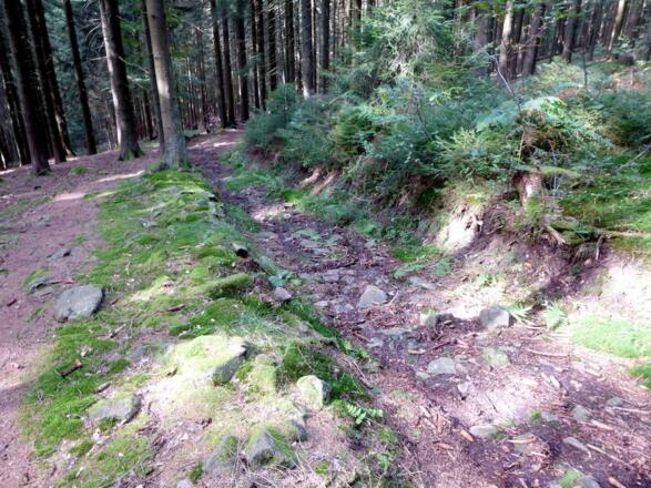 Wanderweg 5 nach Seign - Blockige Passage im Teil 2