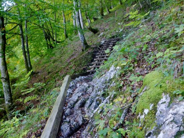 Sagerecksteig mit Stiegen