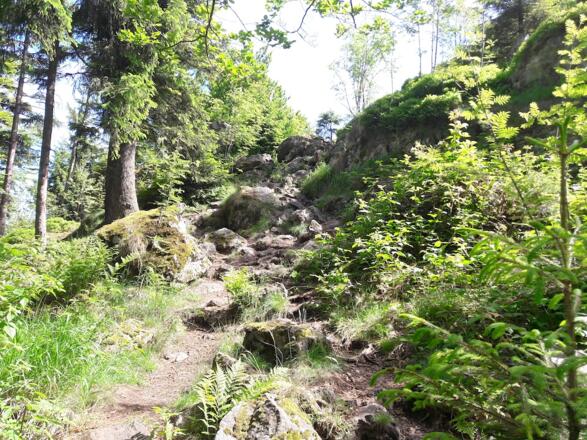 Mühlriegel-Gipfelanstieg