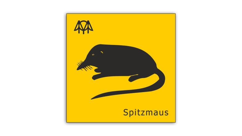 Spitzmaus