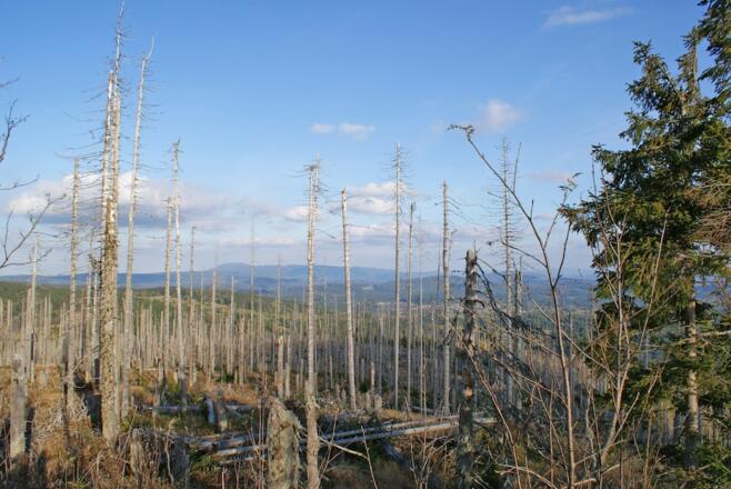 Fernsicht zum Boubín - deutsch Kubany (CZ)