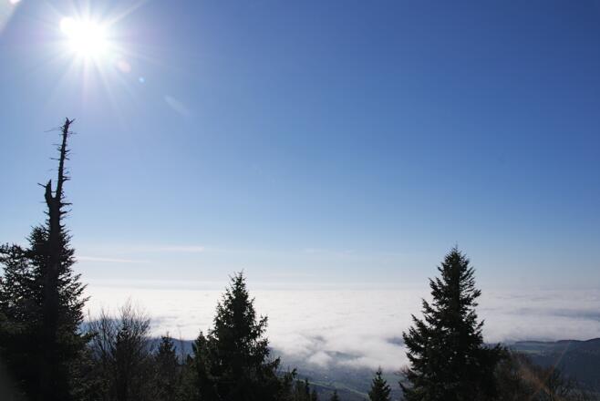 Aussicht vom Rauhen Kulm