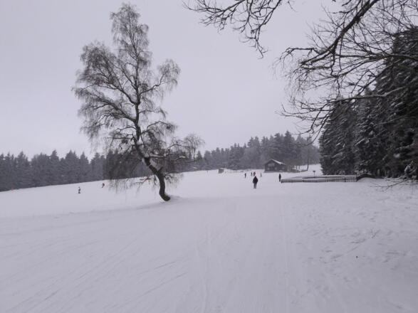 Aufstieg vom Berggasthof Markbuchen zum Waldrand