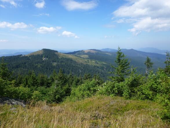 Blick zum Kleinen Arber mit der Chamer Hütte davor