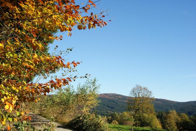 Blick zum Hirschenstein vom Weg nach Hilm