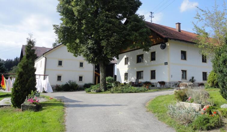 Abkühlung an heißen Tagen im Teich