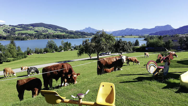 Landschaft