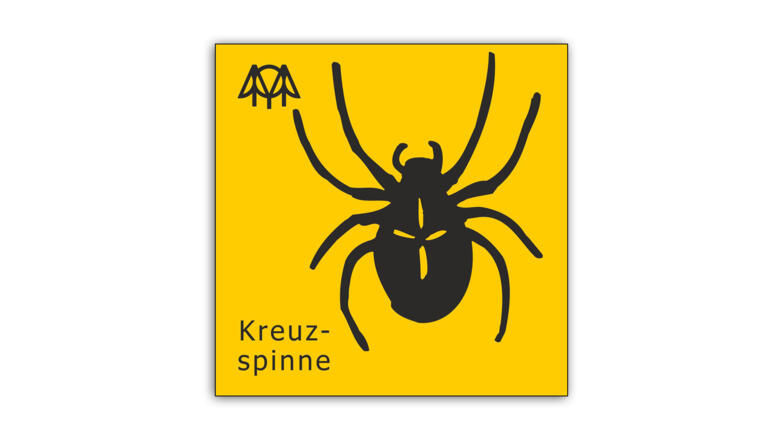 Kreuzspinne