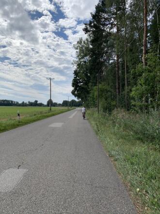 04_Weg von Forstwiesen zum Brandsee.jpeg