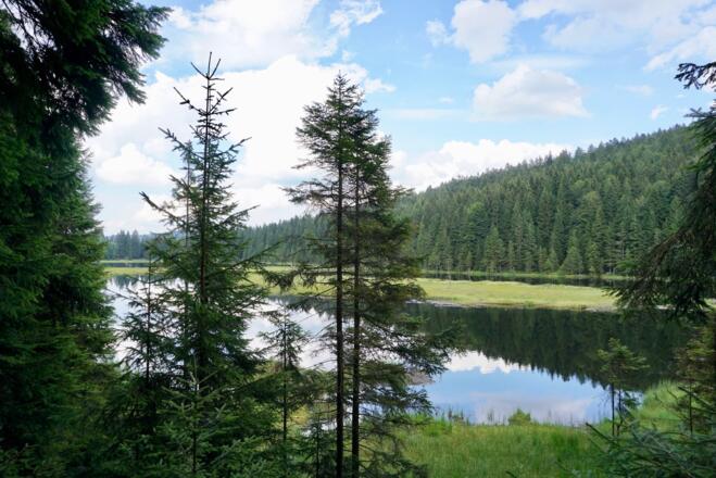 Blick vom Westufer auf den See mit der kleinen schwimmenden Insel