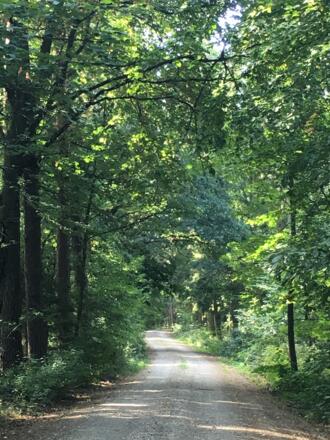 Alter Postweg