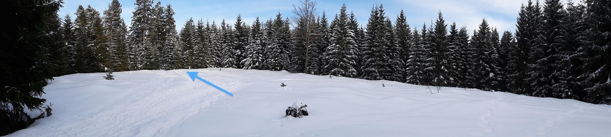 3. Wacholderheide
