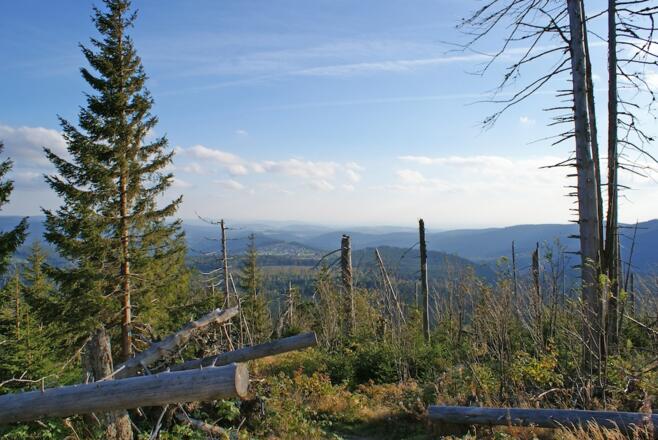 Sicht nach Finsterau