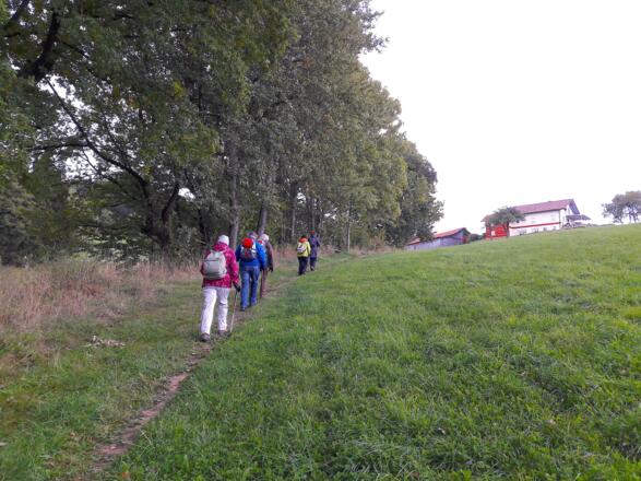 Anstieg vom Radweg nach Hof