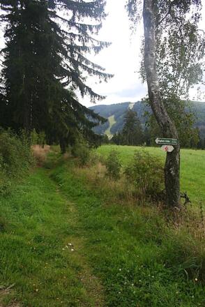 Abzweigung am Waldrand in Maibrunn nach Klinglbach