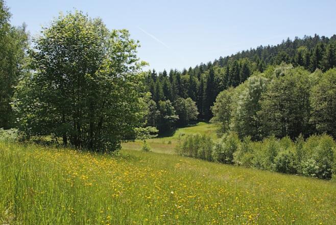 Bachlandschaft nach Grünmühl
