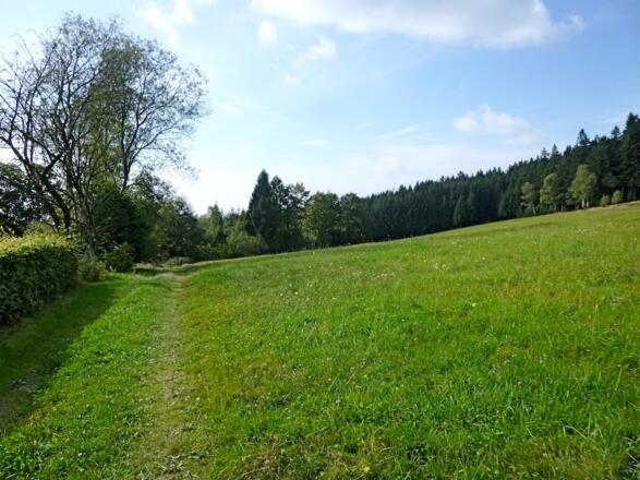Wanderweg 5 nach Elisabethszell - Beginn in Maibrunn