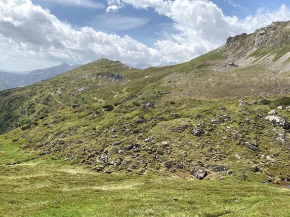 Zu Beginn geht es sanft über Weiden und Bergwiesen in Richtung Wasenwand. Im Hintergrund der Padasterkogel, der Hausberg des Padasterjochhauses.