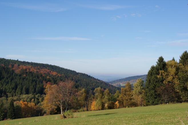 Blick nach Norden auf dem Weg nach Grün