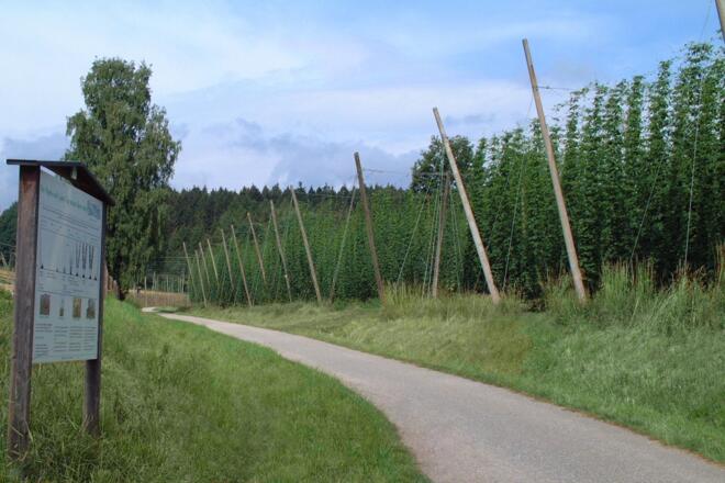 Hopfenlehrpfad Wolnzach