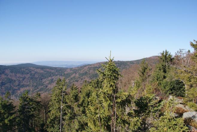 Aussicht vom Klausenstein zum Hirschenstein