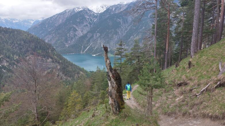 immer wieder Blick zum See