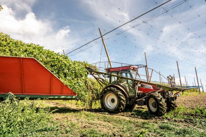 Wasserradlwege Hopfenschleife