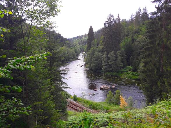 Schwarzer Regen "Bayerisch Kanada"