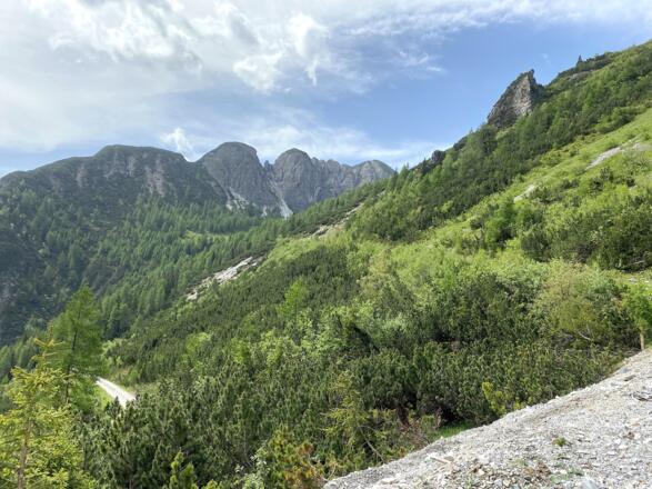 Aussichtsreich führt die Auffahrt zum Padasterjochhaus.