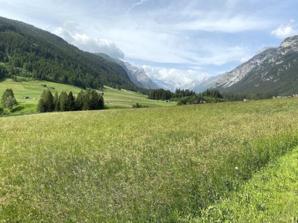 Blick taleinwärts über das Gschnitztal. Der Radweg führt durch eine intakte Kulturlandschaft.