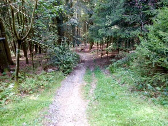 Wanderweg 5 nach Seign - Beginn Teil 2