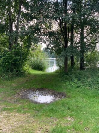 Weiher auf Höhe Feilenmoos.JPEG