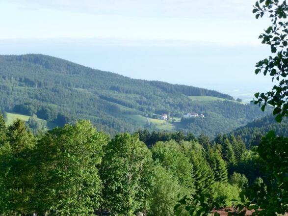 Blick von Glashütt zum Schopf und Kostenz