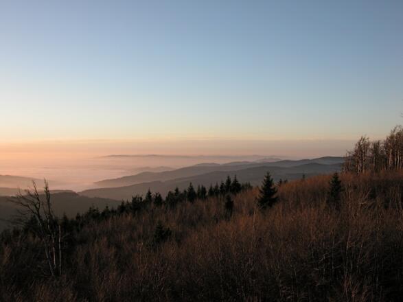 Hirschenstein-Abendstimmung