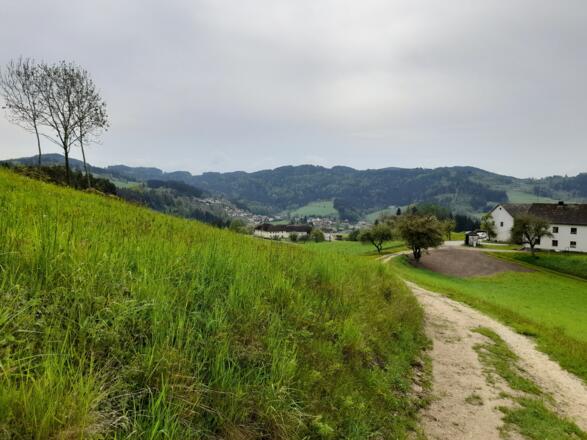 Kreuzweg in Unterweißenbach